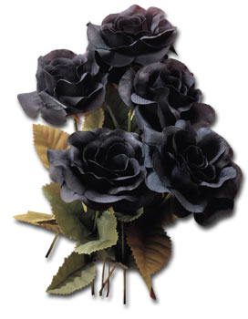  Czarne Kwiaty - Czarne Kwiaty 0982.jpg