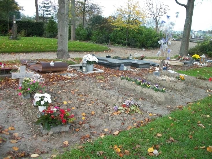 1.11.2011 cmentarz w Harlingenie - 100_2286.JPG