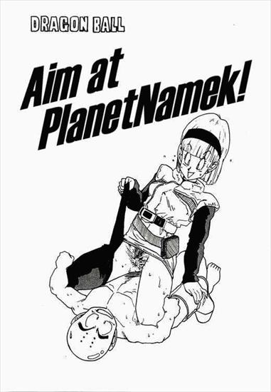 Aim at Planet Namek - db001.jpg
