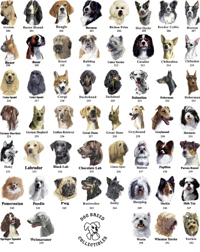 Psy - alldogs-layout-breed-collec.jpg