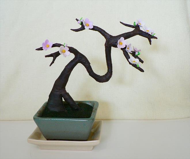 Bonsai - Zdjęcia - bonsai1.jpg