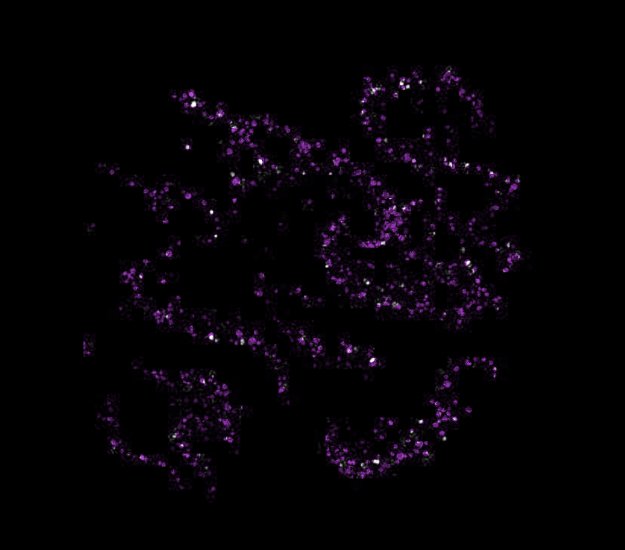 Alien - star cluster purple.png