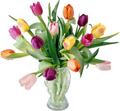 tulipany - 8.gif
