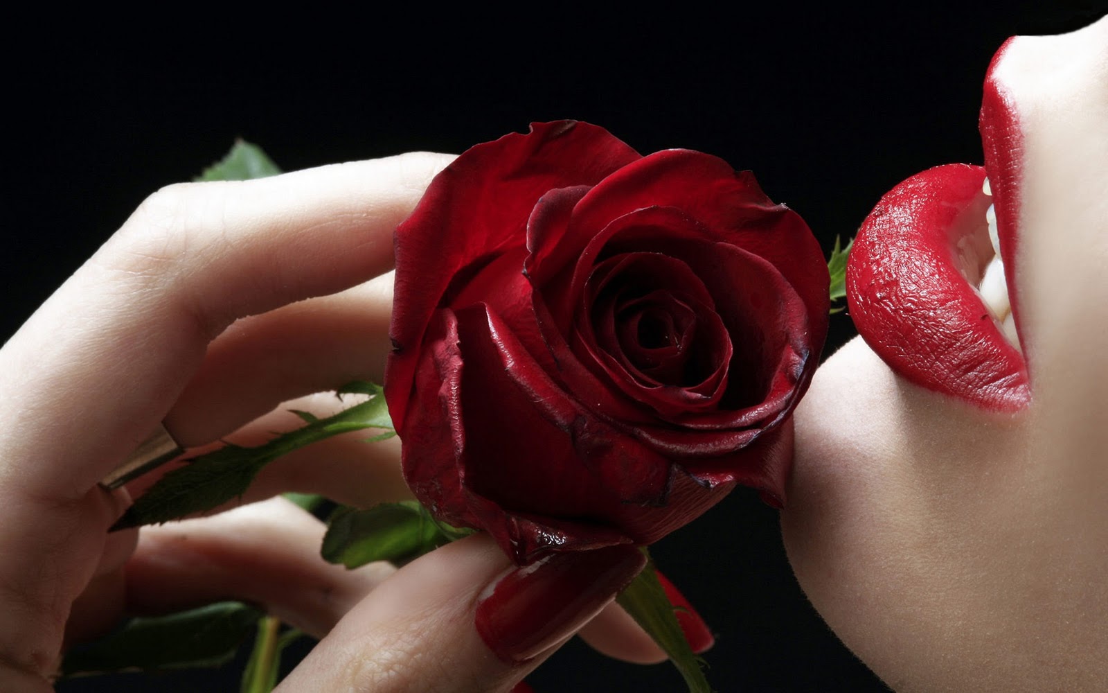 I róże - The-best-top-desktop-roses-wallpapers-hd-rose-wallpaper-47-woman-holding-rose-to-her-mouth.jpg