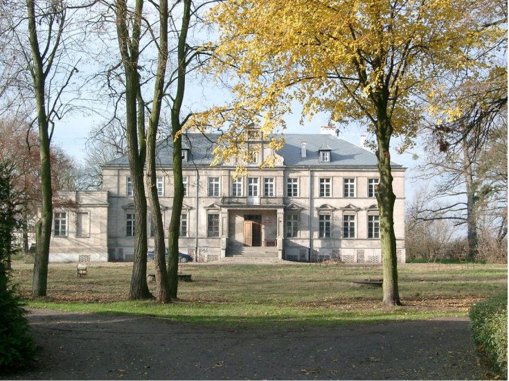 Zamki w Polsce - Niegolewp - pałac.jpeg
