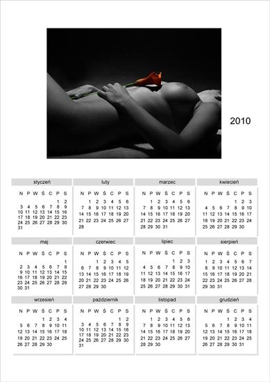 Kalendarze 2010 - kalendarz_2010_10.jpg
