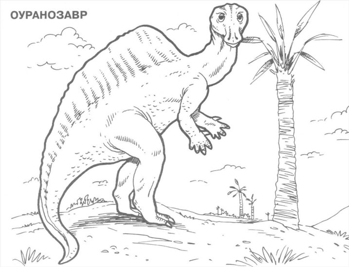 dinozaury1 - d13.jpg