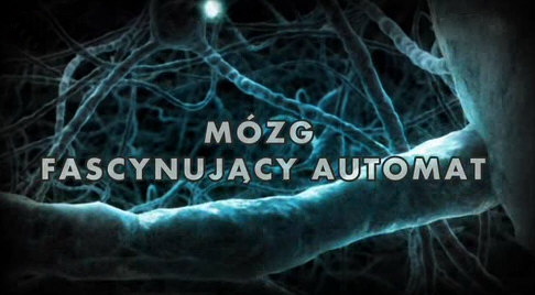 Mózg, fascynujący automat - Mózg, fascynujący automat - Sjael  Videnskab 2012.jpg