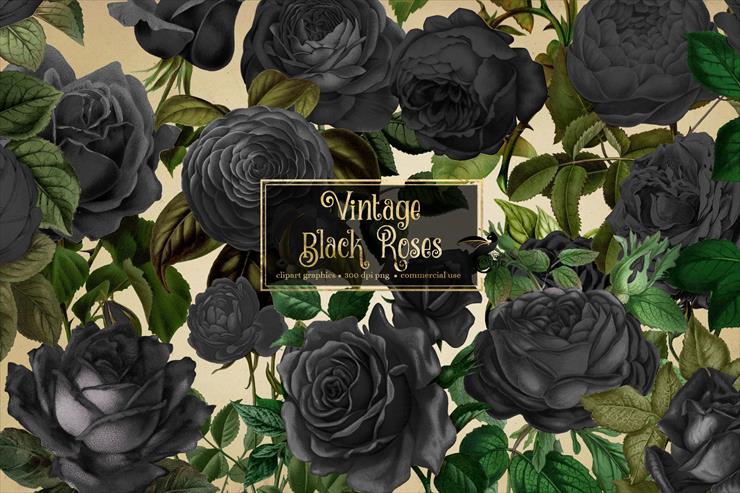 Rose - Vintage Black Roses.jpg