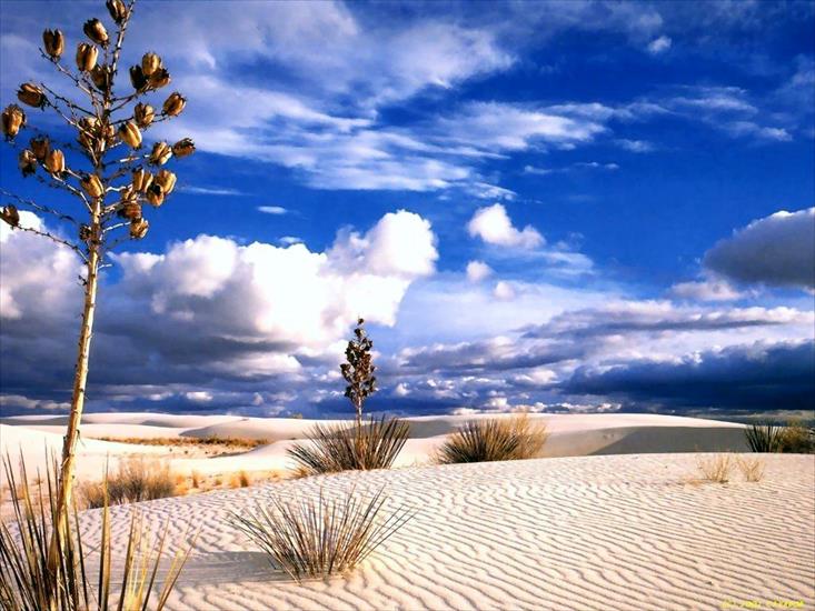 Krajobrazy - Desert Bliss.jpg