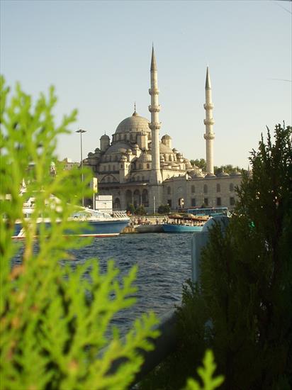 Turcja - Istanbul_new_mosque.jpg