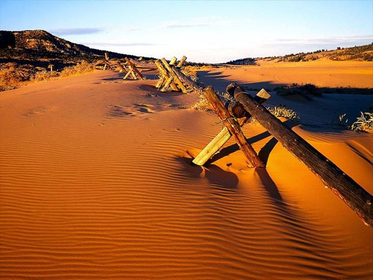 Pustynie - pustynie_21.jpg
