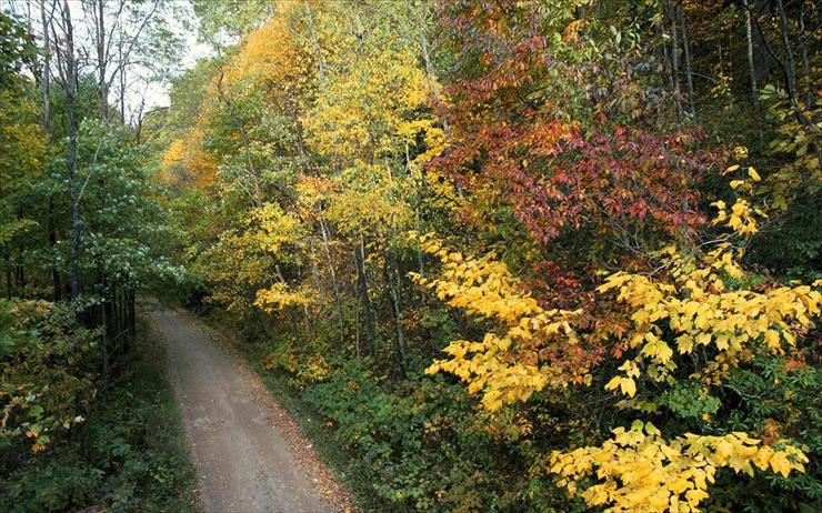 DROGA - Autumn-Roadway-Smoky-Mountains-National-Park-T.jpg