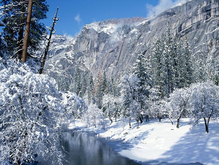 Krajobrazy - Snow Flocks Yosemite National Park, California.jpg