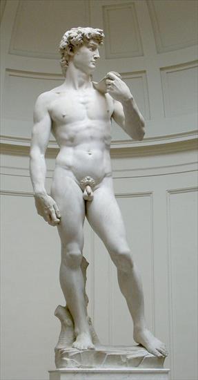 Historia człowieka - obrazy - David_von_Michelangelo.jpg