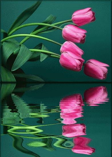 ODBITE W WODZIE - wod tulipany.gif