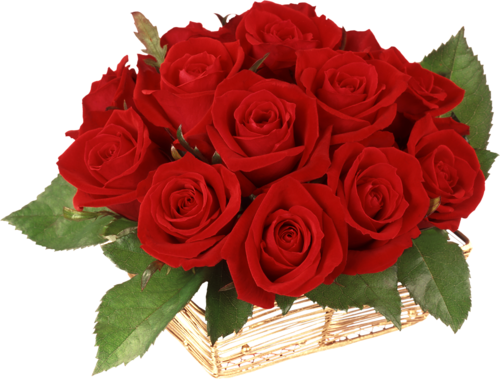 Czerwone róże - 036.jpg