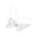 motyle,owady - vlinder.png