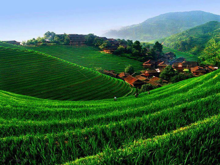 CIEKAWE ZDJĘCIA - Rice Terraces - Longsheng, China.jpg
