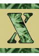 Alfabet Zielony - x.gif