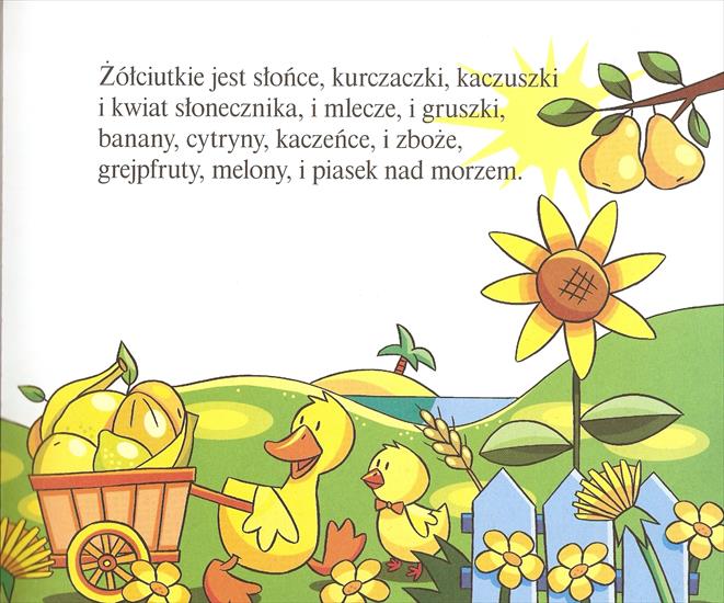 kolory -M.Strsałkowska - kolory 7.jpg