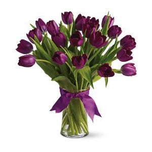 tulipany - tulipany36.jpg