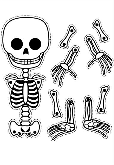 części ciała i odzież - szkielet11.gif