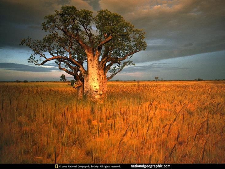 National Geographic - Egzotyczne piekno - NGM1991_01p12-3.jpg