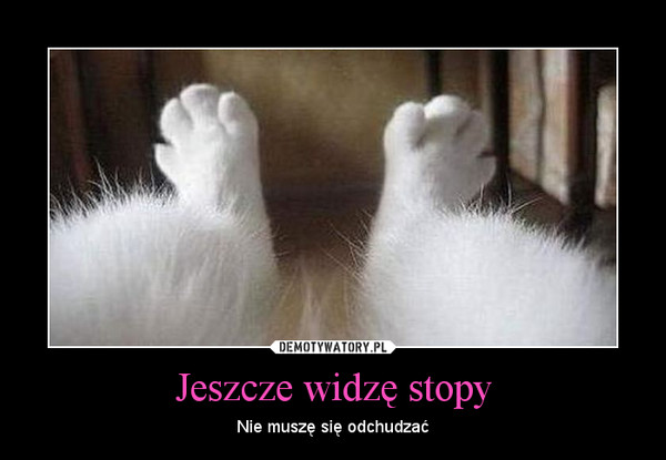 O kotach - Jeszcze-widze-stopy.jpg