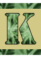 Alfabet Zielony - k.gif
