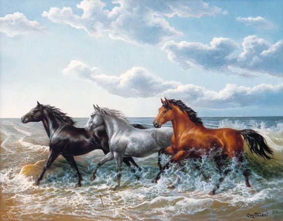 Konie - konie_44.jpg
