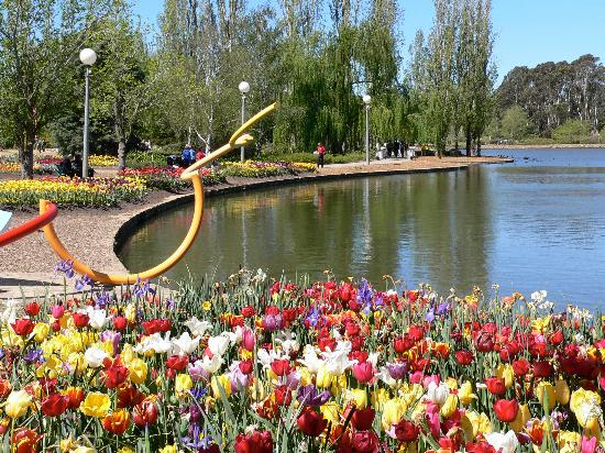 Australia - floriade-sculpture.jpg