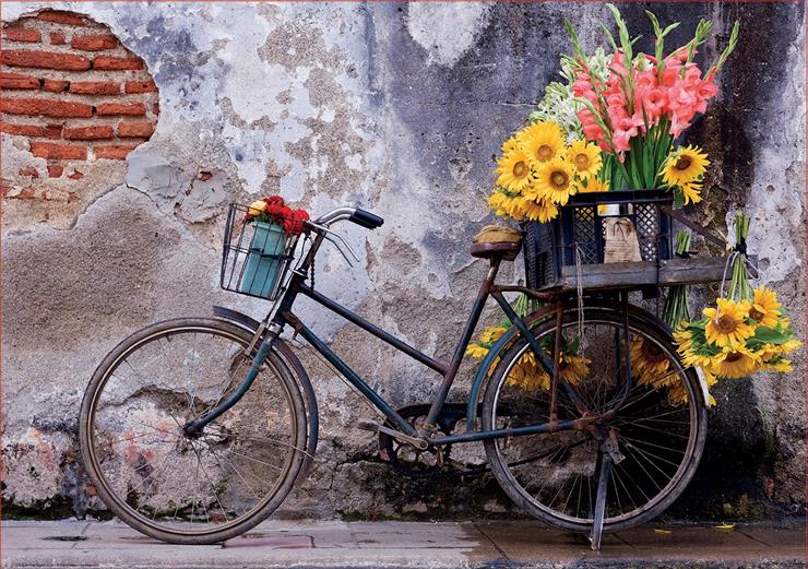 rowery w kwiatachod Renatki - rower-z-kwiatami-mur.jpg