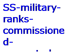 Gwiazdy 13 - SS-military-ranks-commissioned-warrant_0.png