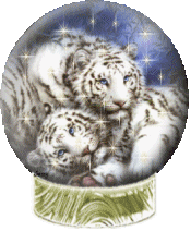 Zwierzęta - tigre01.gif