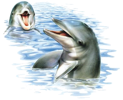 bajecznie - delfiny-2.gif