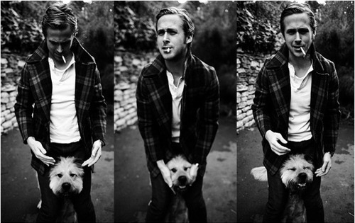 Ryan Gosling  George - Ryan Goslin dog 19.jpg